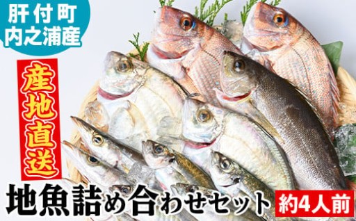 地魚詰め合わせセット(約4人分)