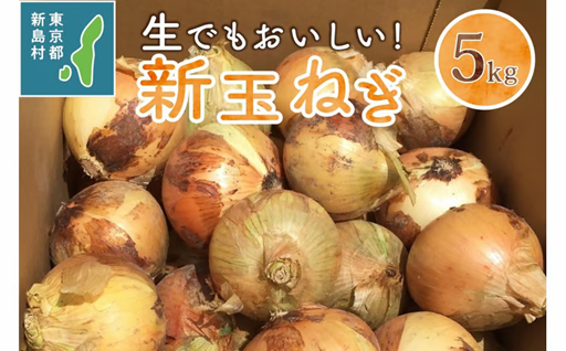 東京都 新島産 新玉ねぎ 5kg