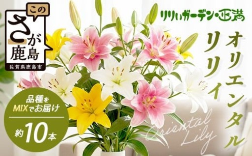 生産者直送 オリエンタルリリィ（約10本）