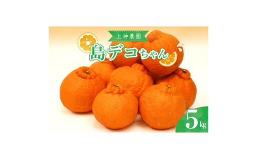 【広島県呉市】上神農園の島デコちゃん 約5kg🍊