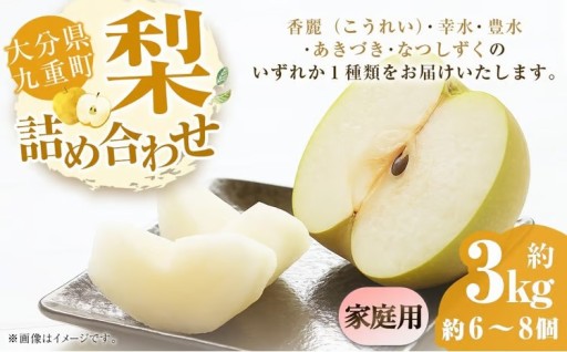 【ご家庭用】 九重町産 梨 詰め合わせ 約3kg （約6～8個） 【2026年8月上旬～9月下旬発送予定】 