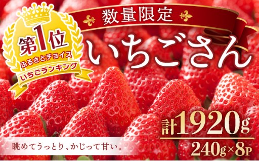 佐賀県産『いちごさん』好評受付中！