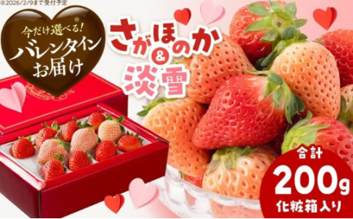 【バレンタイン発送】極上いちごセット