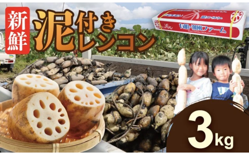 農家直送のシャキシャキレンコン！