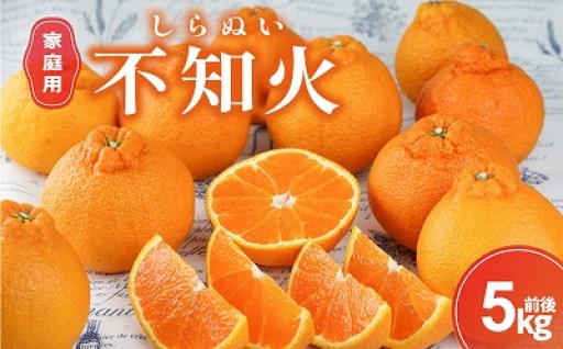 【🍊2月末頃より発送開始予定🚚】丸安青果の御浜町産不知火5キロ前後