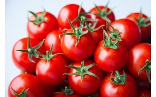 出雲からの贈り物  トマトを超えた超トマト１kg