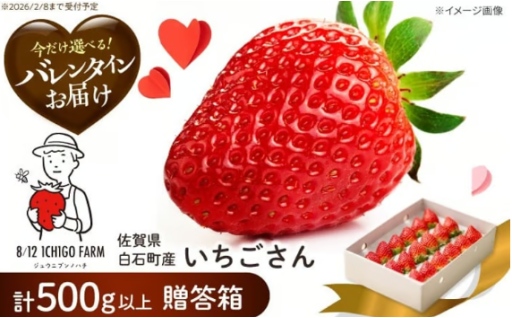 【想いを届ける】バレンタインいちご