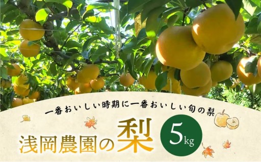 浅岡農園 の 梨 約5kg  【2026年9月上旬-11月上旬発送予定】
