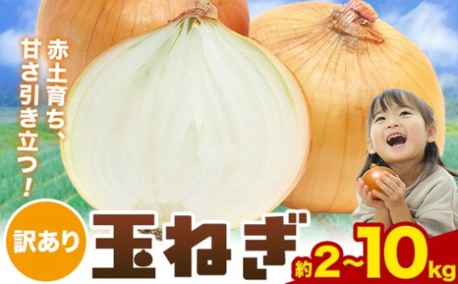 毎日の食卓に、赤土育ちの甘くて使いやすい玉ねぎ