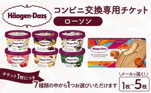 【寄附後すぐ使える 】ハーゲンダッツチケット🎫