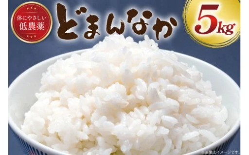 令和6年産 どまんなか 白米 5kg