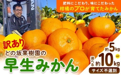 早めのご寄付がオススメ！≪2月8日終了予定≫大人気 訳ありみかん好評受付中！！