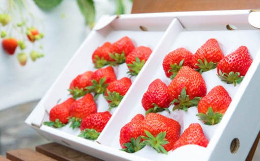 大切な方への贈り物にも★彩花園の甘いいちご