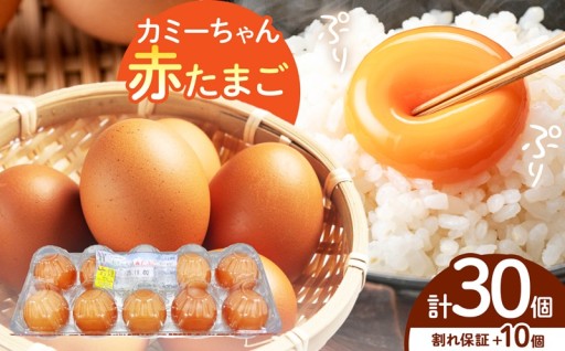 カミーちゃん赤たまご　20個＋割れ保障10個付き
