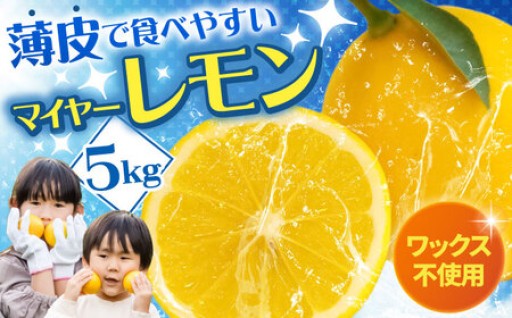 自然の恵み！ワックス不使用、皮ごと食べられるマイヤーレモン5kg