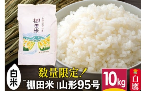 【白米】山形県産 棚田米 白鷹ほまれ 10kg 【令和7年産】