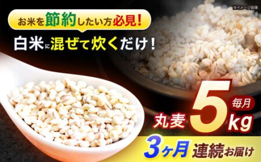 健康と美味しさを両立！長崎県産丸麦5kg定期便