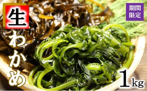【期間限定】 北三陸産 早どりワカメ 1kg