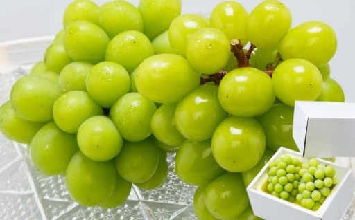 【3回定期便】岡山県産 シャインマスカット 晴王 計2房 （1房600g以上）【2026年8月下旬発送開始】