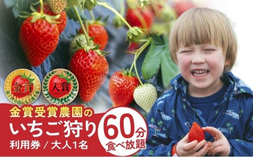 2種のいちごを楽しめる！期間限定いちご狩りのご紹介♪