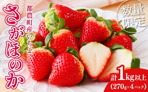 【宮崎県都農町】都農町産いちご「さがほのか」計1kg 🍓