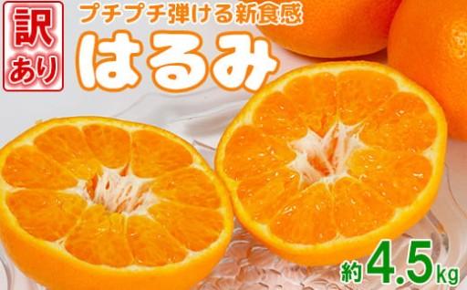 【訳あり品】岩尾農園のはるみ 約4.5kg