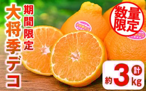 ＜先行予約受付中！2026年2月上旬より順次発送予定＞《期間・数量限定》大将季デコ(約3kg)