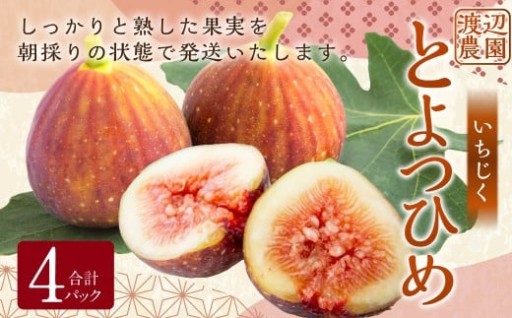 【先行予約】渡辺農園 いちじく (とよみつひめ) 4パック