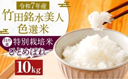 令和7年産 竹田銘水美人色選米 白丹産特別栽培米 ひとめぼれ 10kg