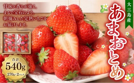 大三島産 「 あまおとめ 」 約270g×2パック