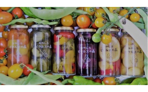 【埼玉県宮代町】選べる2種セット！カラフルピクルス