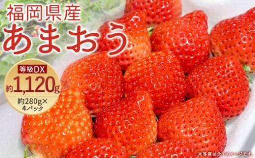 《2月28日まで》【先行予約】あまおう 等級DX 約1,120g 約280g×4