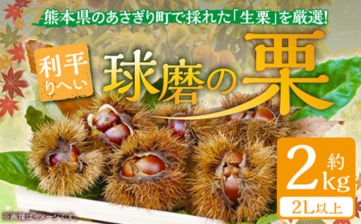 熊本県ＪＡくま産　球磨の栗　利平 2kg(2L以上)