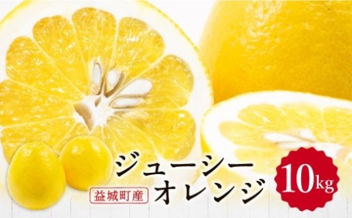 熊本県産 ジューシーオレンジ 約10kg