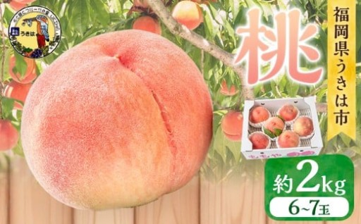 【先行予約】 道の駅うきは 桃 6玉から7玉 （約2kg） 