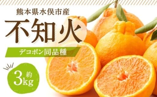 【2月28日まで】不知火（デコポン同品種）6～13玉 約3㎏