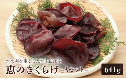 地の利を生かした沖永良部産 恵のきくらげAセット🍄