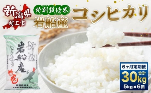 【令和7年産米】特別栽培米 新潟県岩船産 コシヒカリ 30kg（5kg×6ヶ月コース）
