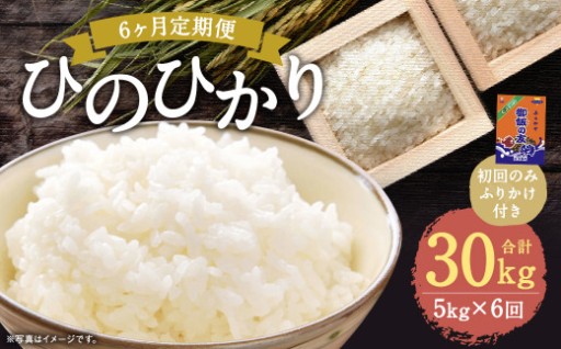 【6回定期便】ひのひかり 5kg (初回 ご飯の友 付き) 計30kg