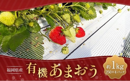 有機あまおう250g×4パック