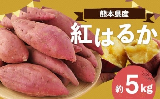 【2月28日まで】熊本県産 紅はるか 約5kg