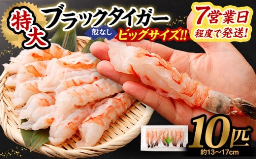 特大 ブラックタイガー 殻なし ビッグサイズ （10匹） 【入金確認後7営業日程度で発送】