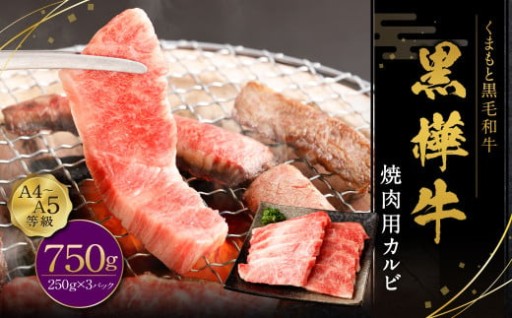 黒樺牛 焼肉用カルビ 計約750g（約250g×3パック）