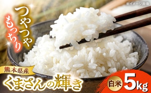 【令和7年度】 くまさんの輝き 白米 5kg (1袋) 