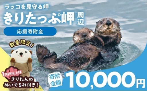 きりたっぷ岬 自然、景観保全プロジェクト🌊