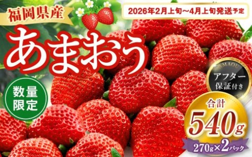 【数量限定】 福岡県産 あまおう 270g × 2パック