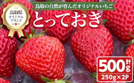 鳥取県オリジナルブランドのいちご「とっておき」(計500g・250g×2P)