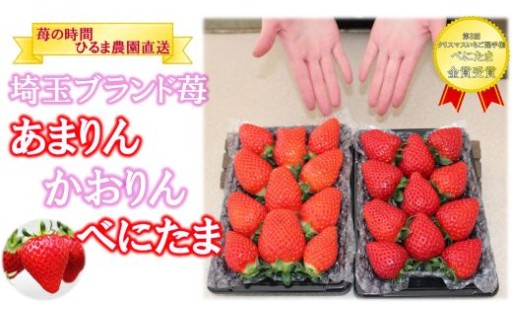 苺の返礼品を追加しました