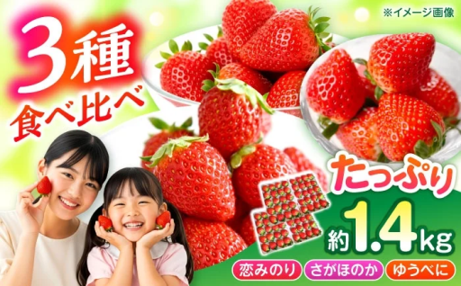 【先行予約】3種いちごの食べ比べ約1.4kg(約350g×4P)