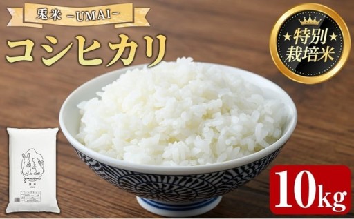 特別栽培米！兎米-UMAI- コシヒカリ(10kg) 